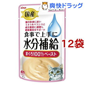 楽天市場 猫 パウチの通販