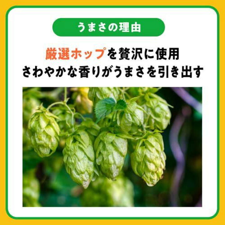 楽天市場】アサヒ スタイルフリー 〈生〉 缶(500ml*24本入)【アサヒ スタイルフリー350ml ４０本500ml 4本