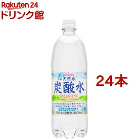 伊賀の天然水炭酸水(スパークリング)(1L*24本セット)【サンガリア 天然水炭酸水】