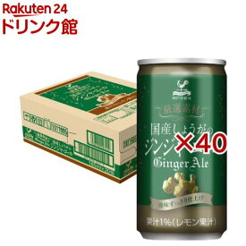 神戸居留地 厳選素材 国産生姜のジンジャーエール 缶 炭酸飲料(20本入×2セット(1本185ml))【神戸居留地】