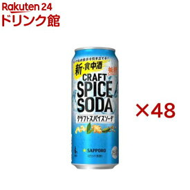 サッポロ クラフトスパイスソーダ 缶(24本入×2セット(1本500ml))[チューハイ レモンサワー 缶チューハイ]