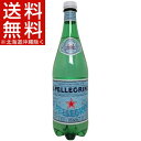 【訳あり】サンペレグリノ ペットボトル 炭酸水 正規輸入品(1L*12本入り)【サンペレグリノ(s.pellegrino)】【送料無料(北海道、沖縄を除く)】