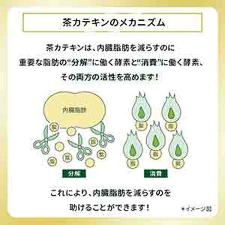 お茶 緑茶 350ml へルシア緑茶 まとめ買い スリムボトル トクホ トクホ飲料 ドリンク ペットボトル 日本茶 特保 特定保健用食品 花王 花王株式会社 茶 送料無料 飲み物 飲料 物品 ドリンク