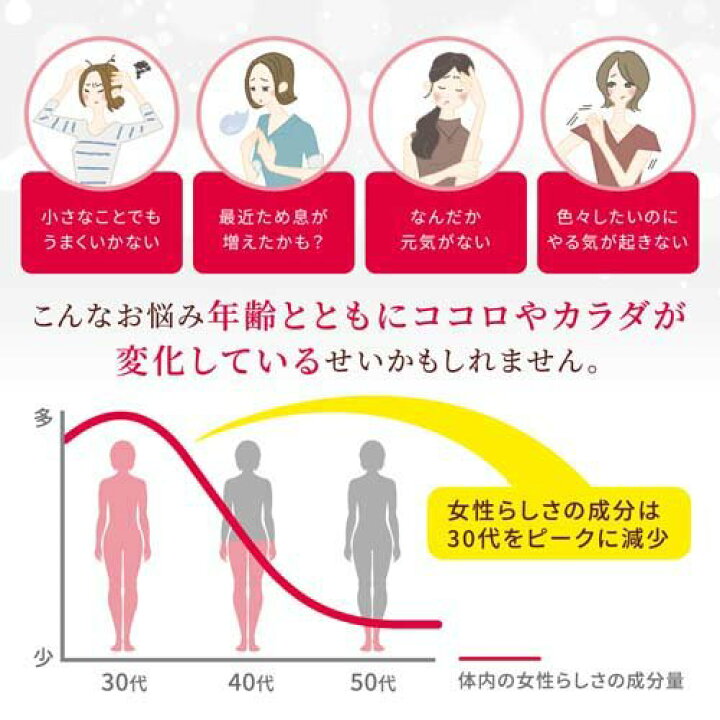 楽天市場】発酵大豆イソフラボン エクオール 30日分(30粒*10袋 