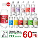 国産 天然水仕込みの炭酸水(500mL*24本入)【送料無料(北海道、沖縄を除く)】【rdkai_04】