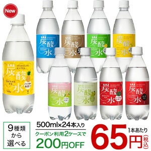 国産 天然水仕込みの炭酸水(500mL*24本入)【送料無料(北海道、沖縄を除く)】