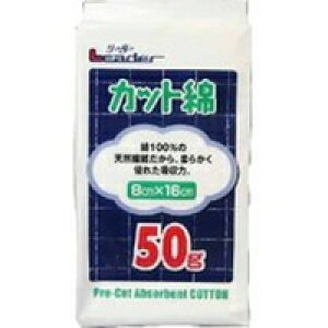 y3980~ȏőijziÊ Leader [_[ Jbg 8cm×16cm [iÊ(qpi)]