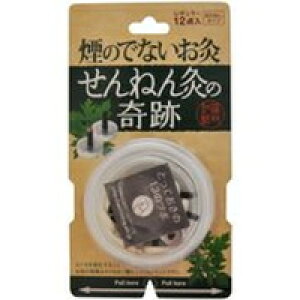 y3980~ȏőijzZlt@ ˂񋄂̊ ̏oȂ M[ 12_