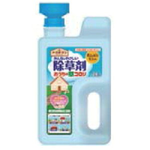 y3980~ȏőijzA[X A[XK[f ̑R WEwbh 2L