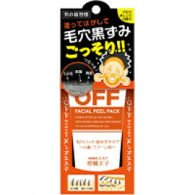 楽天市場 毛穴パック メンズの通販
