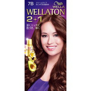 5Zbg/y3980~ȏőijzEGg[ c[vX(2+1) N[ 7B [P&G(vN^[EAhEMu) EG(WELLA)]