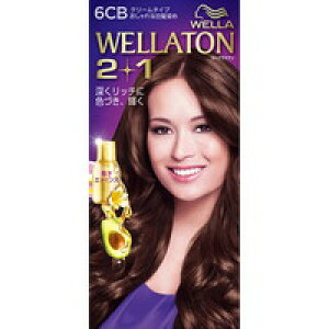 5Zbg/y3980~ȏőijzEGg[ c[vX(2+1) N[ 6CB [P&G(vN^[EAhEMu) EG(WELLA)]