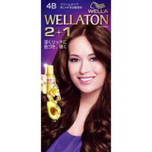 10Zbg/y3980~ȏőijzEGg[ c[vX(2+1) N[ 4B [P&G(vN^[EAhEMu) EG(WELLA)]