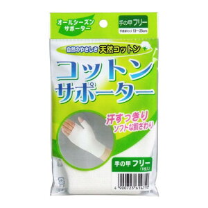 y[֑zRbgT|[^[ 1 ̍bp 4153 [nVEjbg]