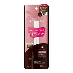 2Zbg/y[֑zD.U.P nCp[tg}XJ uEubN 25g [fB[EAbv]