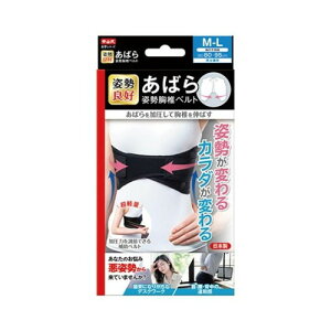 y3980~ȏőijzR ΂pŃxg M`LTCY jp [RY]