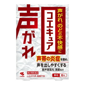 【メール便送料無料】【第2類医薬品】コエキュア 6包 [小林製薬]