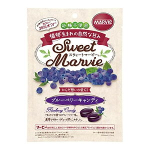 12Zbg/y3980~ȏőijzXEB[g}[r[ LfB u[x[LfB sgp 49g [n[o[]