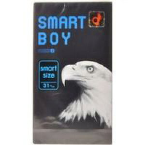 y[֑zy񂹑ΏەizIJg SMART BOY X}[g{[C 12 Rh[ [rbO{[C]