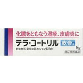 【第(2)類医薬品】【メール便送料無料】武田薬品 テラ・コートリル軟膏a 6g [ジョンソン・エンド・ジョンソン ジョンソンエンドジョンソン]