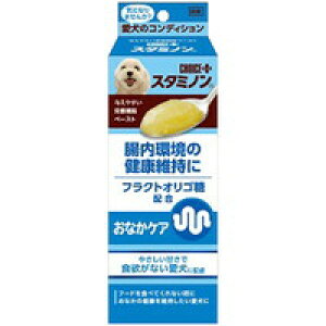 y3980~ȏőijz`CXvX X^~m ȂPA 40g[A[XEoCIP~J(ybgt[h) `CXvX]