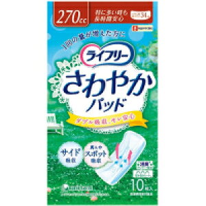 y3980~ȏőijzj`[ Ct[ ₩pbh ɑĂԈS 270cc 10 [jE`[]