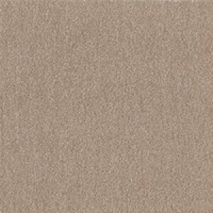 y1P[Xzy3980~ȏőijzy񂹑ΏەizEBYybgtA WPF03(40×40cm) J[] *10