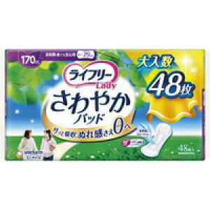 y3980~ȏőijzCt[ fB ₩pbh ԁEłSp 170cc(48)[Ct[]