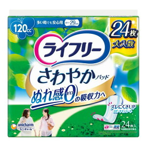 4Zbg/y3980~ȏőijzj`[ Ct[ ₩pbh łSp 24 [jE`[]