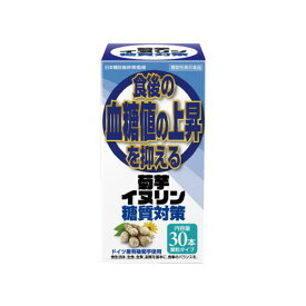 【3980円以上で送料無料（沖縄を除く）】菊芋イヌリン糖質対策 2.5g×30包[サンヘルス]