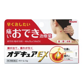 ◆2個セット/【第2類医薬品】【メール便送料無料】オデキュアEX12g[オデキュアEX]