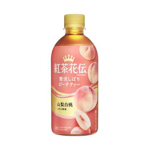 y1P[Xzgԓ` NteB[ s[`eB PET 440ml*24{[RJER[]