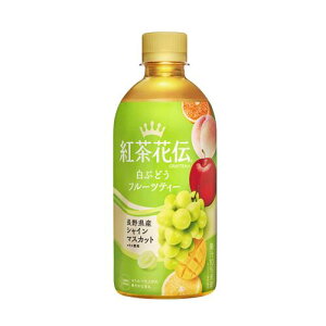 y2P[Xzgԓ` NteB[ Ԃǂt[ceB[ PET 440ml*48{[RJER[]