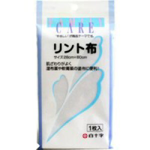 y[֑z\ FCit@~[PAj gz 28cm×60cm [FC(t@~[PA)]