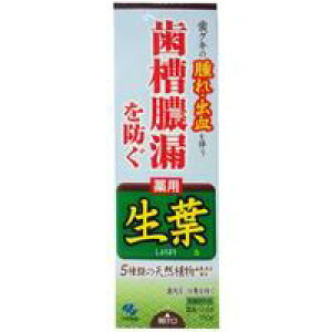 10Zbg/y3980~ȏőijzѐ t 傤悤 100g