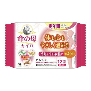 y3980~ȏőijz̕JC 10 [ѐ]