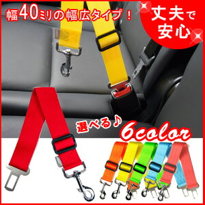  V[gxg Ԑp[h  Sxg pV[gxg Clear ppark