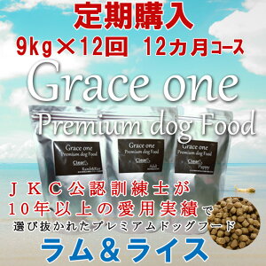 p v~AhbOt[h OCX CX Ep w 9kg×12i12jR[X ʏ퉿i15p[ZgOFFIyh{H ŐVNH HAM[ er 