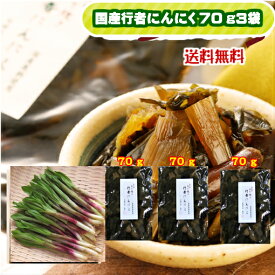 【セール】国産 山菜 行者にんにく 浅炊き 無添加 3袋セット送料無料