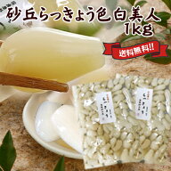 送料無料 鳥取砂丘美人らっきょう1kg 国産 無添加