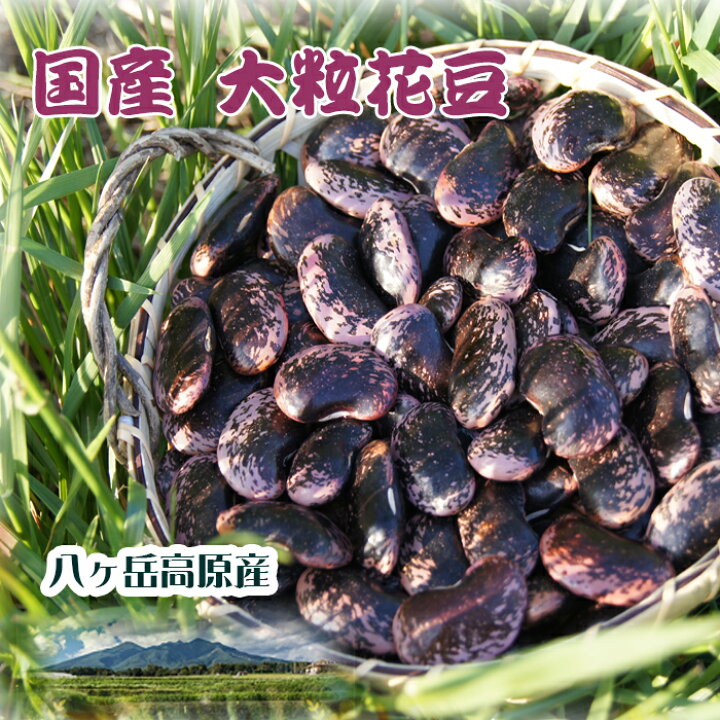 楽天市場】花豆(生） 八ヶ岳産超大粒200g2023年産 送料無料 : 壮健の 