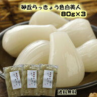 らっきょう　国産 らっきょう鳥取砂丘色白美人80g×3袋ネコポスで送料無料
