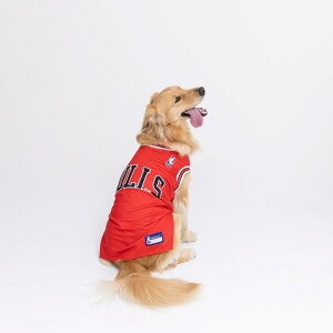 y|Cg5{IX[p[Z[IzNBA Chicago Bulls W[W ct71437