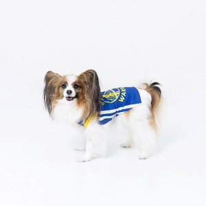 y|Cg5{IX[p[Z[IzNBA Golden State Warriors W[W ct71444