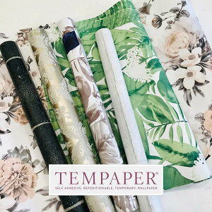 ey[p[ \Ă͂V[ǎ 52cm X 5m 2{ ct42662