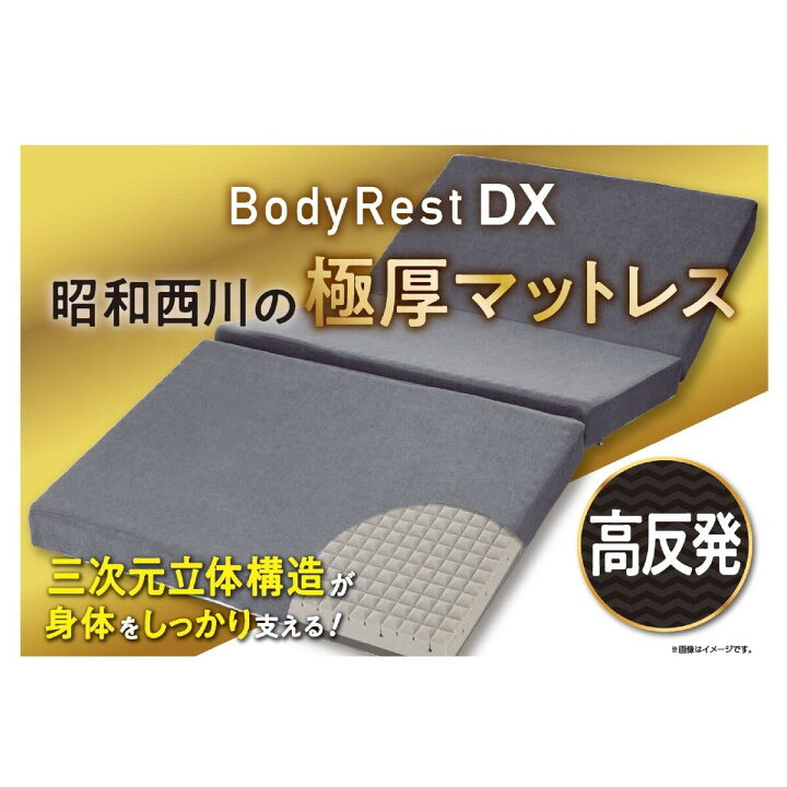 楽天市場】昭和西川 高反発極厚 マットレス DX シングル ct66287 