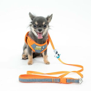 y50̂I|Cg5{IԌIzLN^[ [htn[lX Zbg XS TCY i5ށj ct47537