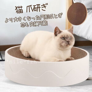 y50̂I|Cg5{IԌIz܂Ƃ ܌ Lpi ܂Ƃ|[ ܖ ܂݂ i{[ _{[   ]|h~ Vя ^sP ₵