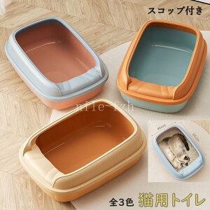 y50̂I|Cg5{IԌIzLgC  ɂ΍   ォLgC LpgCpi ybgp lR̃gC ^ ybgp ybggC