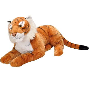 y}\I|Cg5{IԌIzChpubN ^CK[ W{ ʂ 19547 ct80914